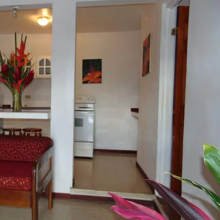 Image 3 - Costa Rica, 8th Street, San Jose Province, San José, Ángeles, 10103 Costa Rica - Apartment for rent
