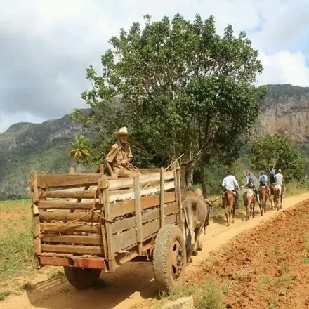 Rent this 1 bed house on Viñales in La Salvadera, CU