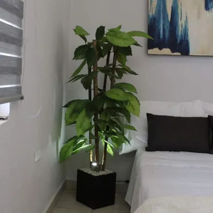 Rent this 1 bed apartment on La Paz in 54476 Nicolás Romero, MEX